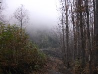 nte Fontane-201011107 078
